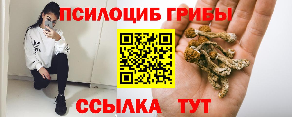 Кизляр  Галлюциногенные грибы ЛСД  Псилоцибиновые грибы мухоморы  Вход с VPN 